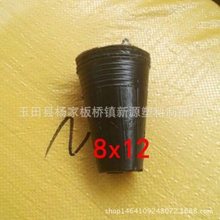 �I�B���S�ҹ���8x12�I�B�����l������ľ���籭��������l