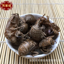 ���l��ș���s͑ �x͑ �x�� �s�� ֪��Ƥ ˮϴ�s͑