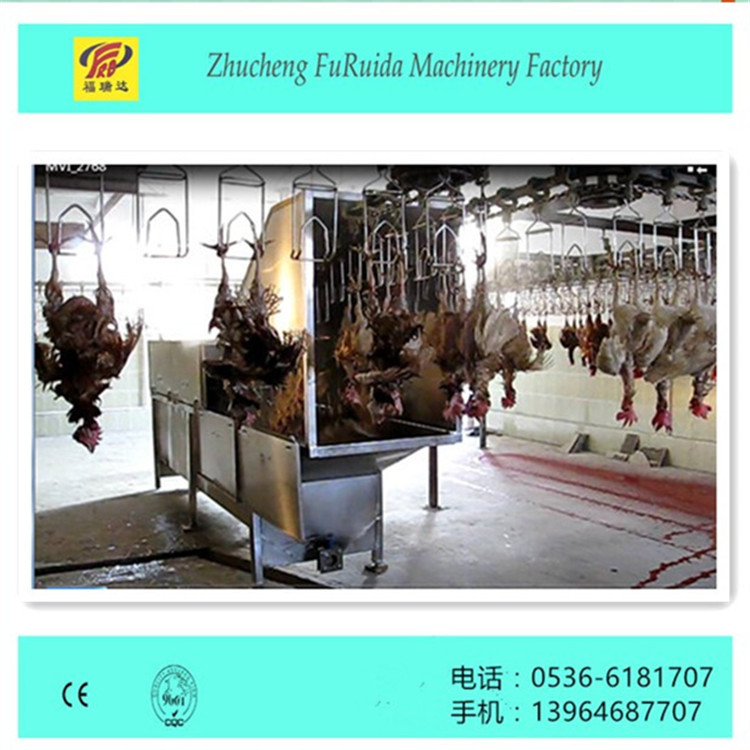 供应家禽宰杀机械 直式烫毛机  自动喷淋浸烫池禽类屠宰设备