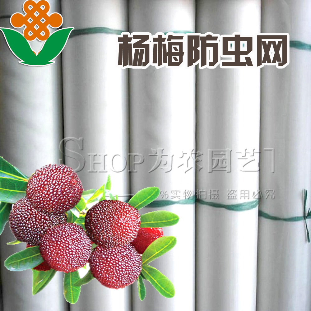 40目大棚防虫网 蔬菜大棚防虫网 瓜果防虫网 花卉网室