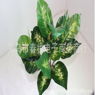 ��Ʒ���� �������m�~ ����~ �G�} �٘��~ ֲ���� �G���b�Ʒ