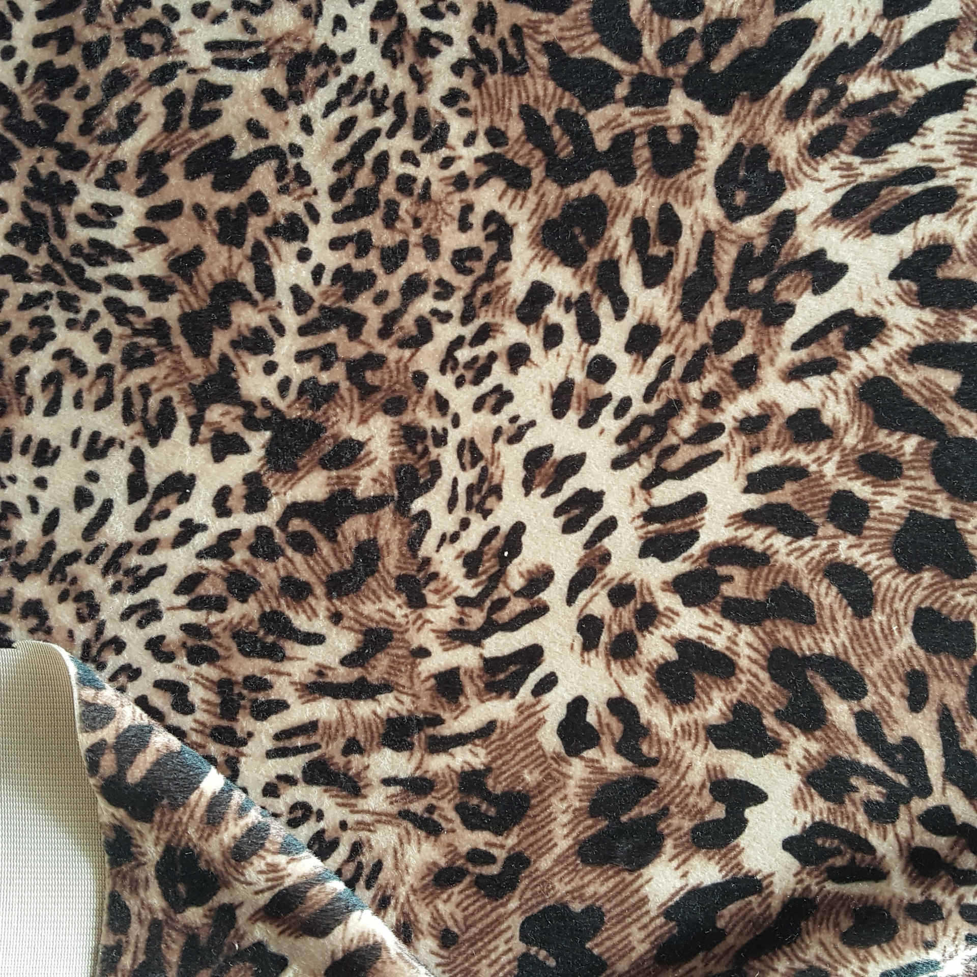 供应豹纹印花毛绒 印花毛绒面料 豹纹服装面料 豹纹宠物窝毛绒