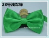Light Army Green No. 28