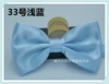 Light blue No. 33