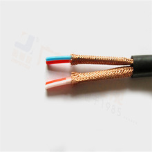 Ӌ��C��|ZR-DJYPVP-2*2*1.0  �~�z����������+��������| �S��