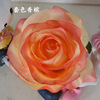 Realistic props suitable for photo sessions, accessory, wholesale, roses