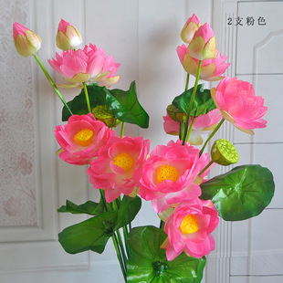 ����ɻ��ٻ���ػ�������赸�����~�׳����b�֦�ɻ�ˮϵ����