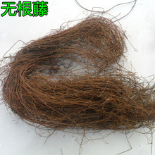 ��ș�� �o���� �o�^�� �o���� ��z�� �_�W�� �o���� �˽z����