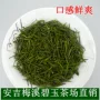 安吉珍稀原产地散装白茶