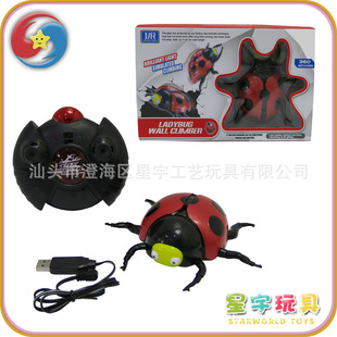 ����ư�x���������컨���b��܇ ����܇�t�⾀�b������ư�x���