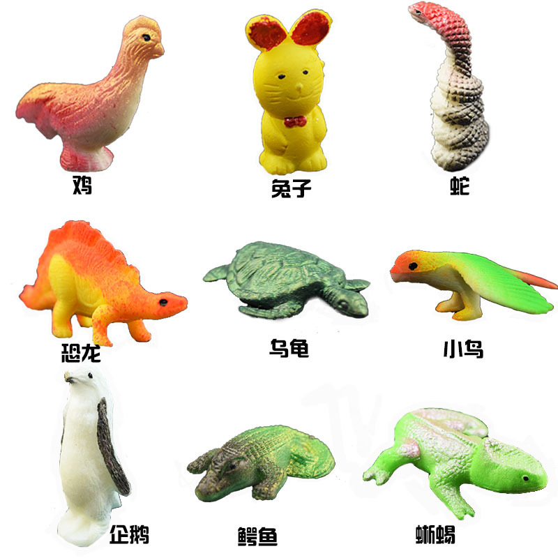 Huevo de Dinosaurio Gigante que Eclopa en Agua - Juguete Educativo para Niños (Al por Mayor)