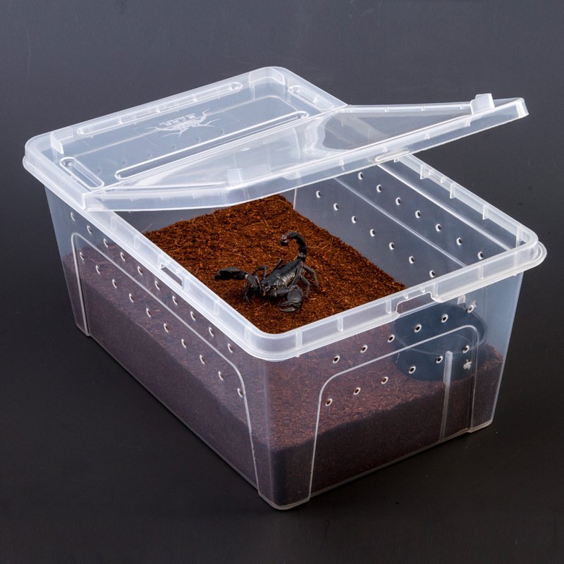 Pet Reptile Feeding Box High Transparent Spider Lizard Shougong Hamster Snake Turtle Beetle Juvenile Breeding Climbing Pet Box