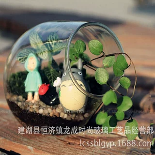 高硼硅玻璃工艺礼品多肉微景观植物造景瓶灯泡花瓶创意摆件