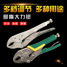 ���I���l��������Q�pɫ�������Q�Q���z�ܱ� �����Q