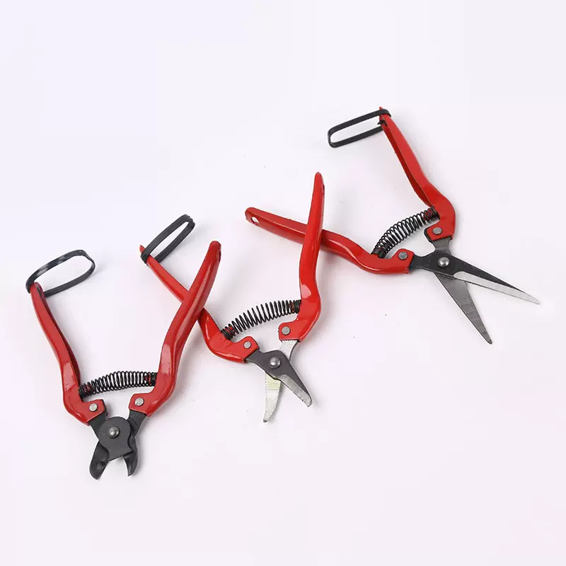 窝型稀果剪稀果剪园艺剪刀花木修枝剪苗木果蔬采摘剪果园专用