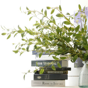 ���滨5�^�����~���� �L֦�ٻ��~�� �Ҿ��b� ����ֲ���c����