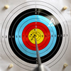 Plastic archery target, high strength paper target