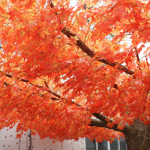 Artificial Ficus benjamina branches, red maple branches, indoor fake trees, ginkgo branches, plastic branches, engineering landscaping, green leaves plants, decoration