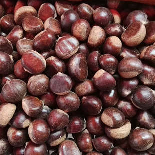 ���l�ǳ����r������/��ϸ���/�V���F�����Ͱ����N�Ӵ��Fժ�F��