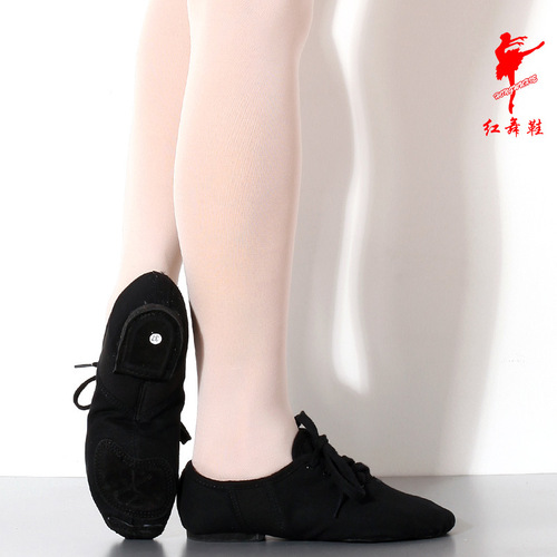 Red dance shoes canvas jazz shoes dance shoes women's modern dance practice shoes adult indoor dance shoes wholesale 1009