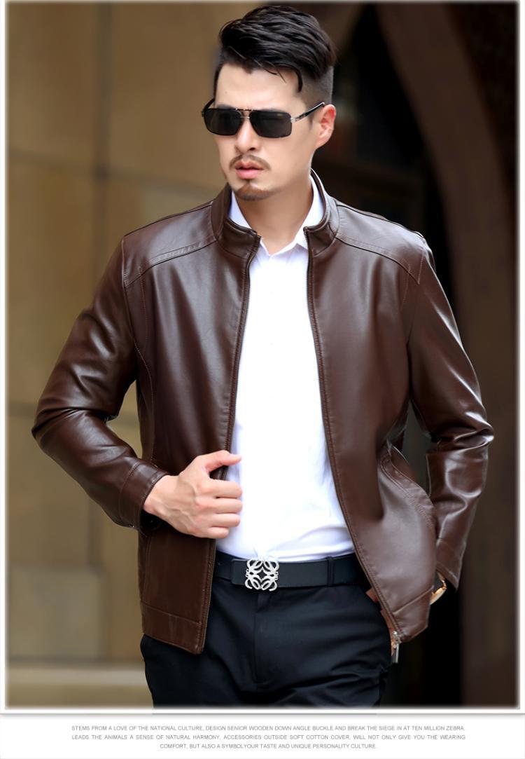 스탠드 칼라: 다크 다크 브라운