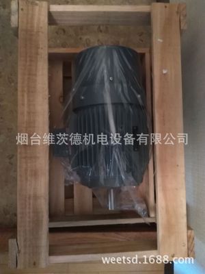 NIDEC FEK-IK电机日本特殊品|ms