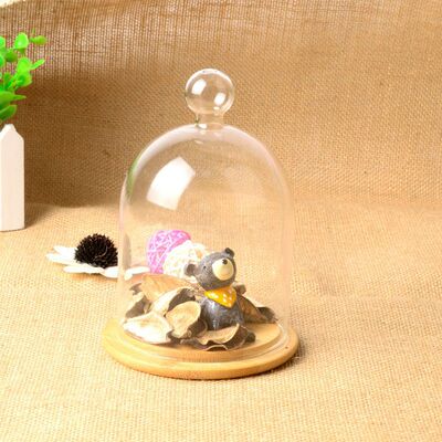 Spend eternity Glass cover Fresh flowers. Cake cover DIY Landscape cover Valentine's Day Gift