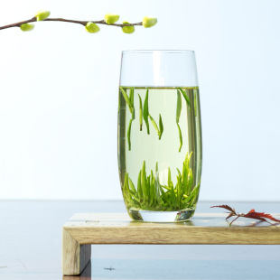 ������2026�²�250gȸ���Ĵ��Ű�ȸ��ɢ�b�G����b���~�賴��G��