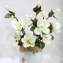 �ߙn�������m���ָ�EVA�����b��ٻ��͏d�Ƶ�Wʽ�廨���m���l