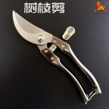 �����{ 8��200MM�@�ֈ@ˇ�����֦���� ��֦�� �޻���������W4114