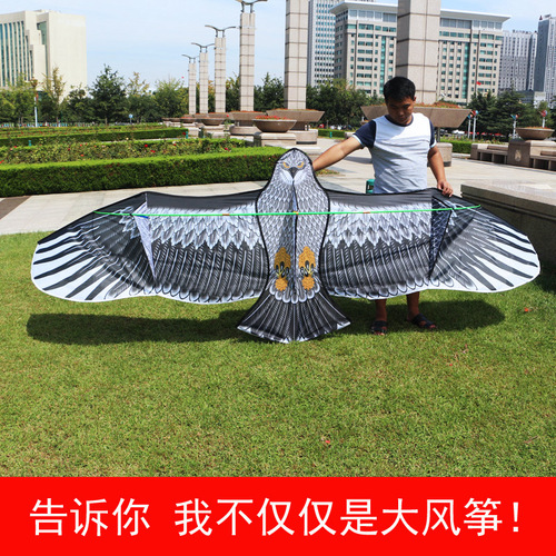 Weifang Kite Wholesale Lucky Kite Holy Grace Lucky Bird of Paradise Golden Eagle Steel Eagle Eagle Breeze Children's Kite Eagle