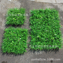 ߲Lƺ bƺ  Ӹ߾^ƺ l