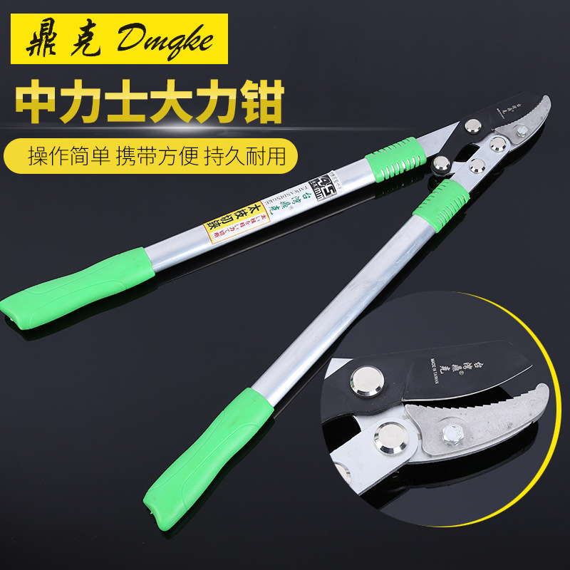 厂家批发佐川郎 大力剪粗枝果树修枝剪 高枝剪力士剪  园林工具剪