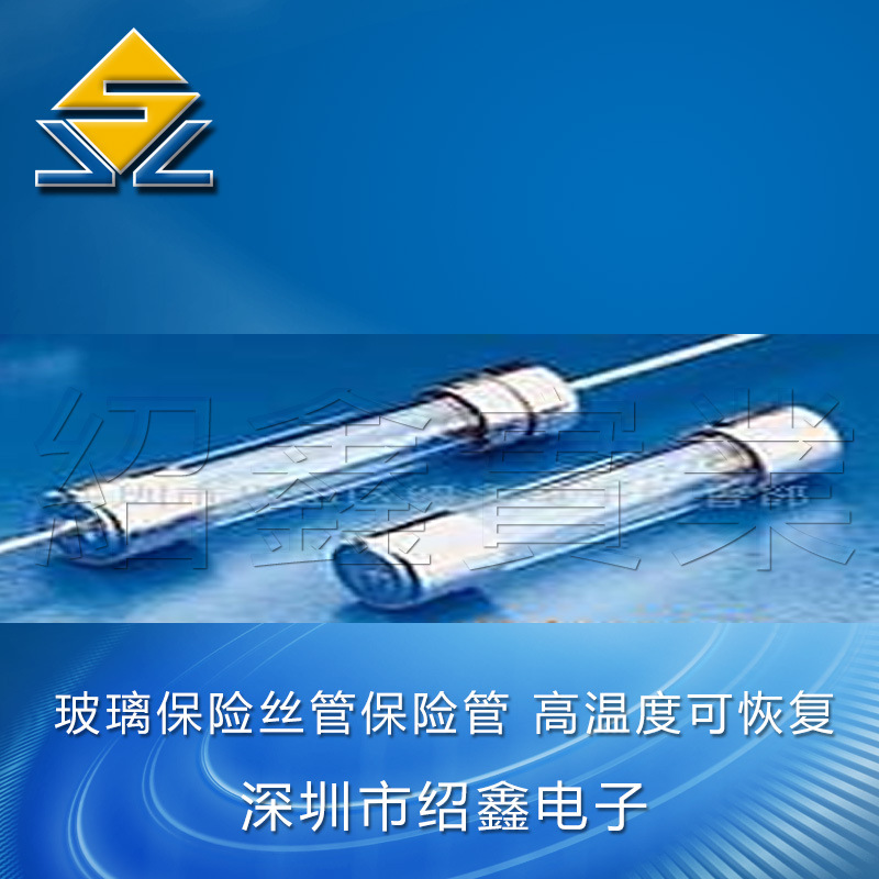 5*20玻璃保险管 250V保险丝 保险丝夹供应BEL玻璃保险丝管保险管