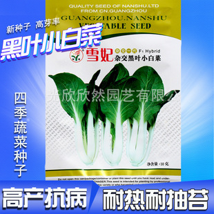 ѩ���s�����~С�ײ˷N�� �͟��ͺ��߮a����С��� �̨�ļ��N��