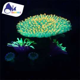 东莞厂家批发鱼缸水族造景装饰仿真珊瑚假水草塑胶用品荧光装饰