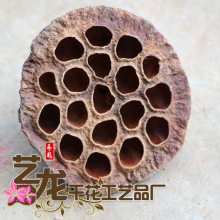 ���lҰɏ��ɻ���Ȼֲ���ֹ��ɻ��Ĕz���߰ٴˇ�OӋ�ɻ���