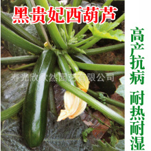 ���F�������J�N�� �͟��͝��͵͜� �߮a�����߲� ��ɫ�����J�N��