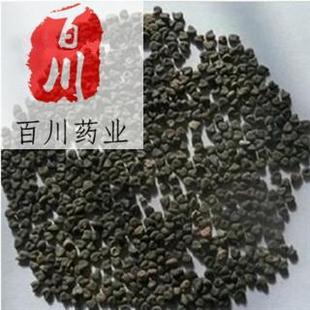 �ٴ�ș�I �׻����� ���|��Ʒ �׻����� 15��֮�ȟo�l���˓Q