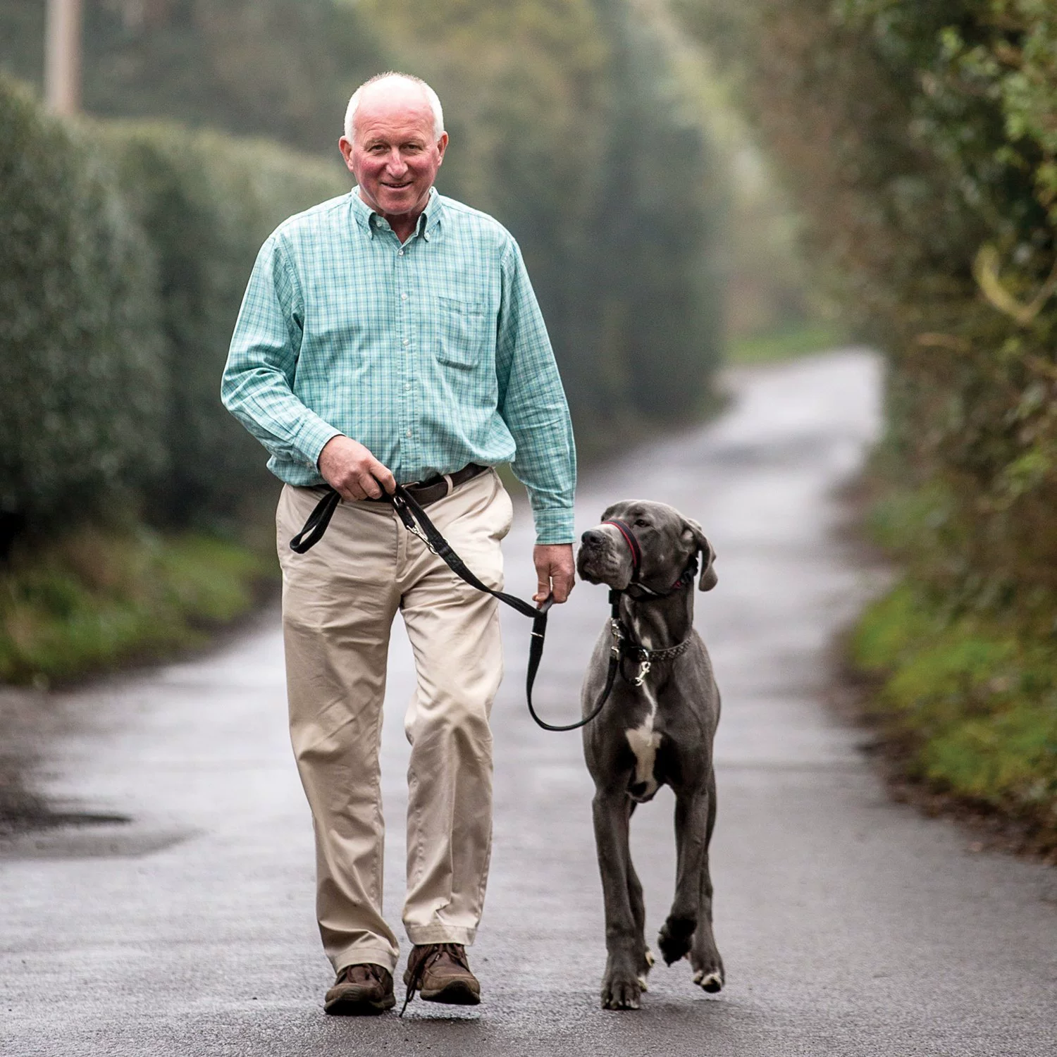 Принадлежности для домашних животных Новые взрывы тяга для домашних животных с набором рта Тяговая веревка двойная веревка для собак Внешняя торговля на складе прямые продажи с фабрики