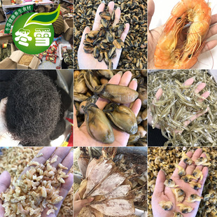 ����ζ����؛�ĵ������~�����r���rƤ���r����ȫ���\�д���