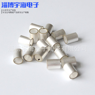 Pressure Ceramics Manufacturer Supplies Pressure Ceramic Ring Pressure Ceramic Tube Pzt Tubular Pressure Crystal