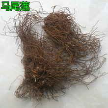 ș RβB RβSB Rβɏ SBzRβɏ ɲ