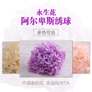 �����������ɻ����� �ֹ������}�Q������diyõ����~����20g���b