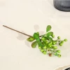 Small, green