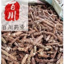 夏枯球药材 选装 夏枯草猫爪草  1000g夏枯草批发 15天无条件退换