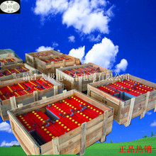 늄Ӡ܇늳 \܇늳 늄бP܇ƿ 늄ӶѸ܇늳