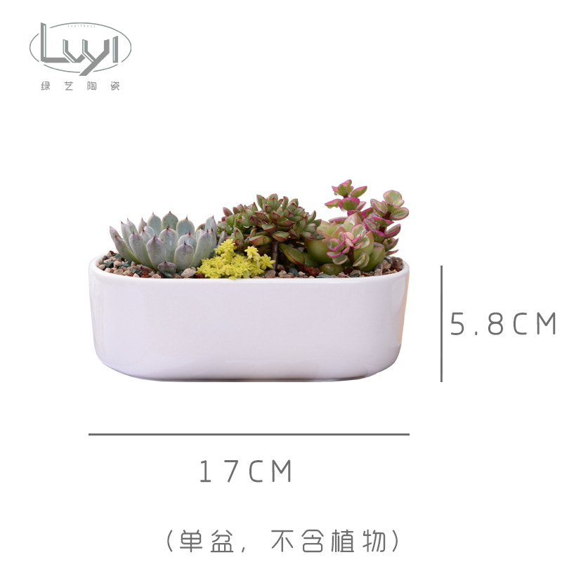 Simple White Creative Mini Succulent Plant Ceramic Desktop Rectangular Round Edge Zakka Succulent Potted Flower Pot