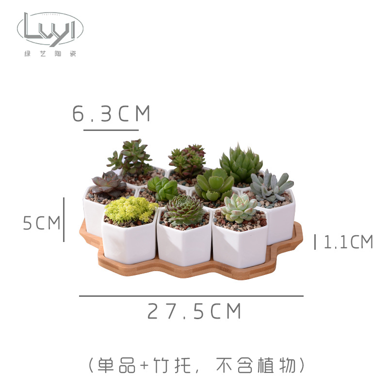 Simple White Creative Succulents Ceramic Small Six-sided Set Of10 With Bamboo Bracket Zakka Combination Potted Flower Pot