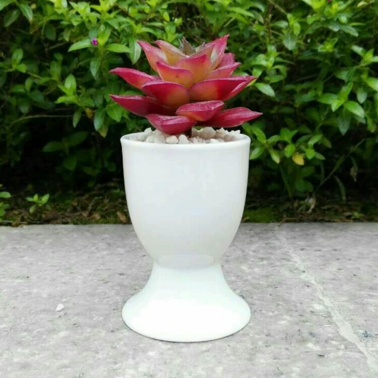 Простой креативный яйцевидный горшок для суккулентов из керамики оптом